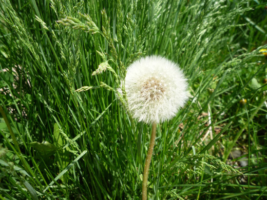 428646 (a): :1600x1200
